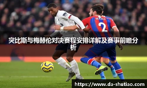 突比斯与梅赫伦对决赛程安排详解及赛事前瞻分析